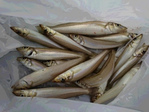 sg3kjgdnbc2tuhf4ejvx_480_480-e37844c0.jpg