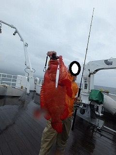 sg69ear37abuijd8y2e2-3e2ed792.jpg