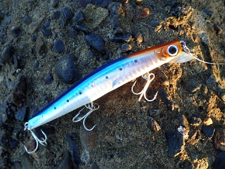 sgazgvggd374yauobts6-3b7ae864.jpg