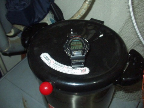 sgjmwnaehnasdvy4i2mk_480_480-32f80a3d.jpg