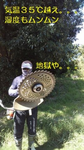 sgkt7mjzet44u8yh4eek_480_480-77fd3a7f.jpg