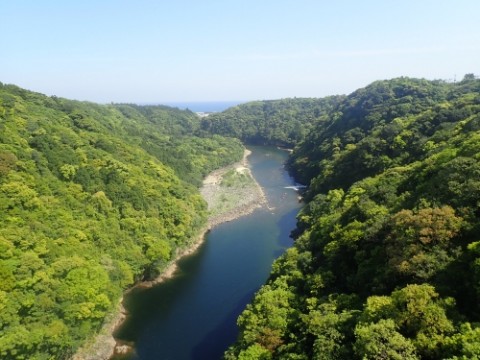 sgmdagrh9gpnrmdw36x8_480_480-77655046.jpg