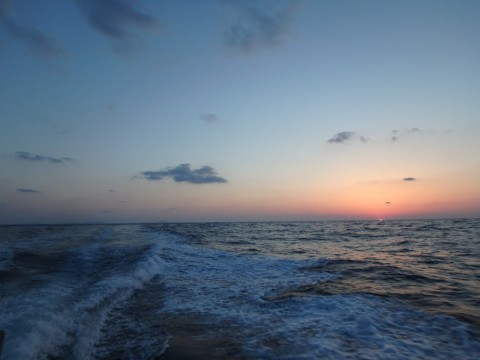 sgrrdg9dbkxr3adziwca_480_480-12308d00.jpg