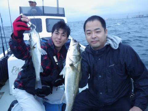sgvhwfoe4vjep62joaak_480_480-cd001ba5.jpg