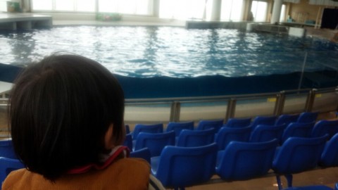 sgyovs9bnivdh99cn8n3_920_518-40577b9e.jpg
