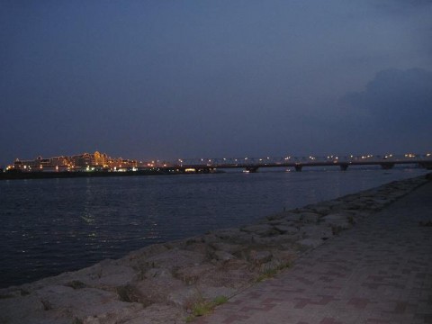 sh2vp2hjfsokah4vibyb_480_480-8f17a94b.jpg