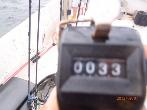 shadojj4j8g3x7e2fk38_480_480-d56511fe.jpg
