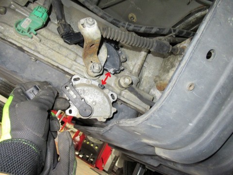 shn8a2ufrrgjs94t9itr_480_480-3267fa98.jpg