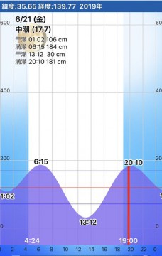 shphojdc8mnmpdm5sssr_304_480-1b512572.jpg