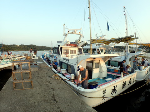 shsgu2hssamkf2i2sxua-91be858c.jpg