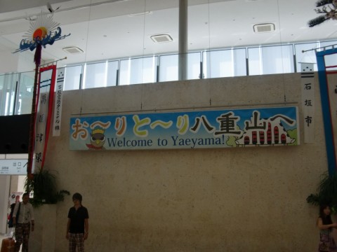 shu7rbo3d7iy2gbgs9sg_480_480-67fd0311.jpg