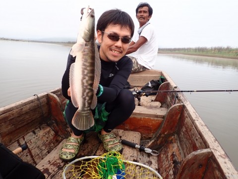 shxiwert8j9pxgmkyf7y_480_480-effd732f.jpg