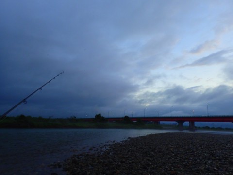 si7dwvkyvvgdxz5dzhis_480_480-29e0ed04.jpg