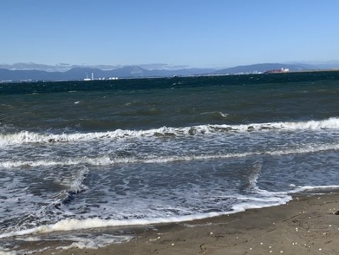 si83eedr7e9idi6vh3j4_480_361-0870d28e.jpg