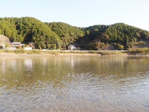 siocsuxmnto3x47z39cj_480_480-4790b1d0.jpg