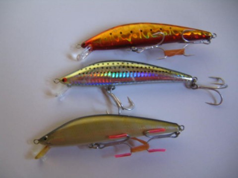sir7piz4tjztz56s9twh_480_480-8adca677.jpg