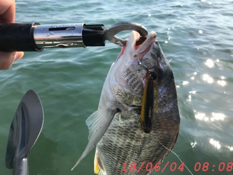 sjtnoj7k2zapbczwk7o3_480_360-42defe08.jpg