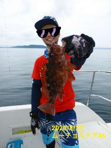 sjtpguppfgzm3xdotghu_480_480-6c8e1a8a.jpg