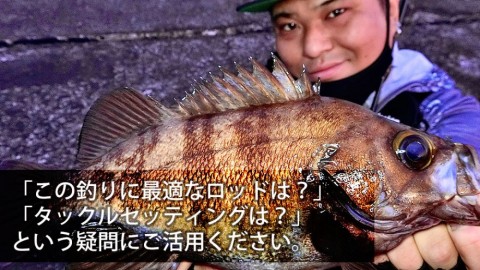 sk2jp8wv45jwkxg9u9w5_480_480-522ff5d4.jpg