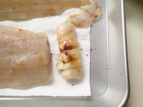 sk4sx7f4g5738bhf2jwn_480_480-9f1e4186.jpg