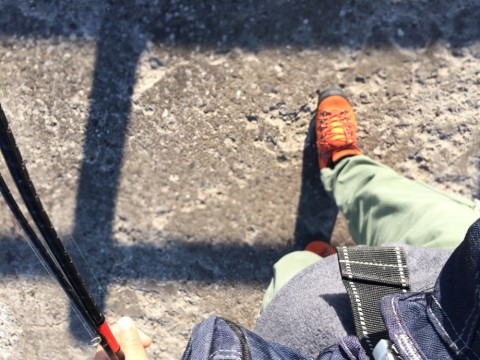 sk8ps2j6pz2e5yn75bd7_480_480-f14c8960.jpg