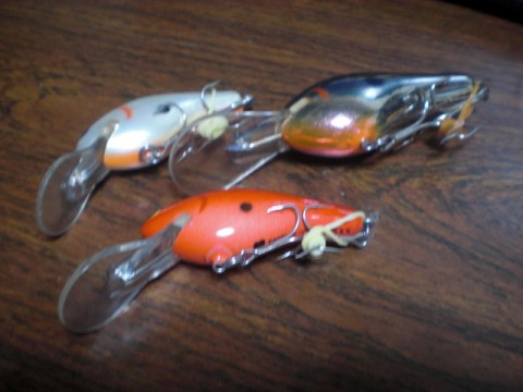 skc8swez757epiowgfsn_480_480-08494426.jpg
