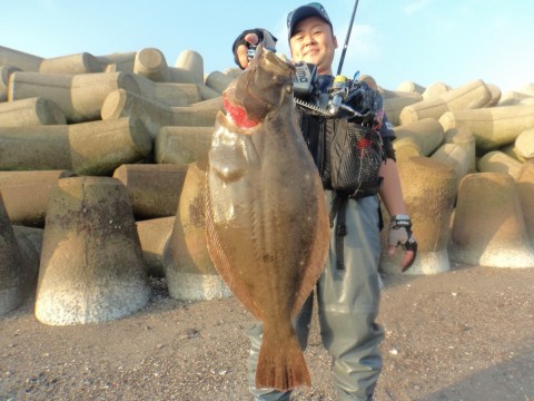 skezi7k47hnetfh3nieb_480_480-911dad36.jpg