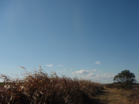 skmutwgt49u6e6szz3bt_480_480-2fd307f9.jpg