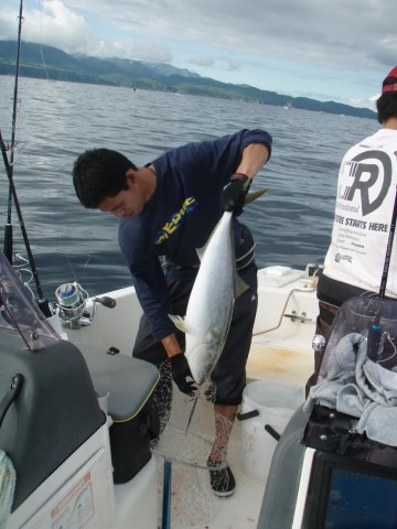 skn55wn5p8xuo7ahurwp_480_480-3425cc12.jpg