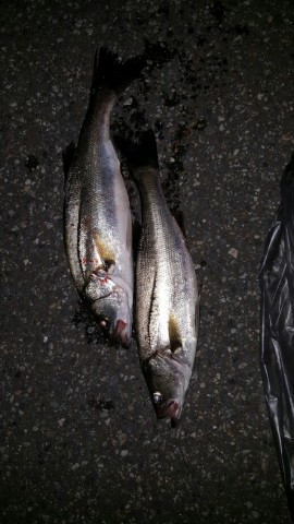 sko77f5zdn4eat2vhf23_518_920-90dd470d.jpg