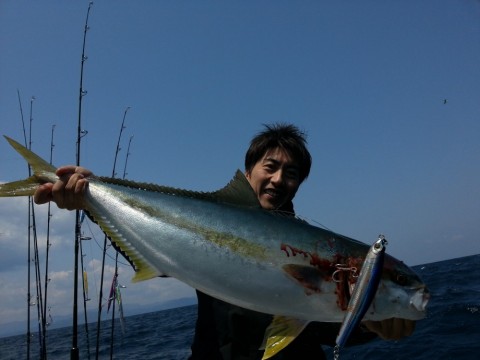 skt69fehihr4pgo2awn7_480_480-80628099.jpg