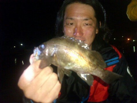 skwjdvgy3mghoaiki2f4_480_360-ee853fd0.jpg