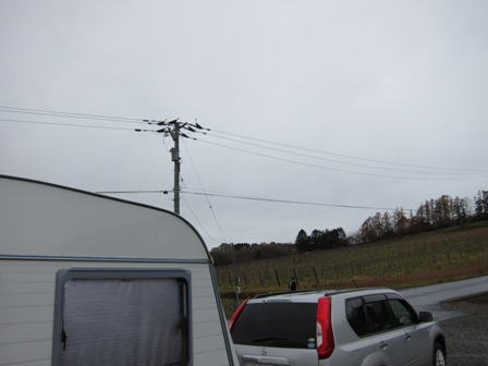 sm5dn452sb3wfp6nper2-66cb8173.jpg