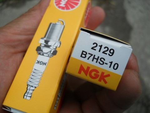 sm5z32eefxypv5m7d8yt_480_480-d5ed80fd.jpg