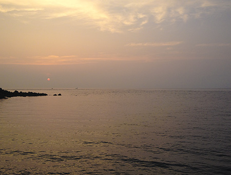 sn4y95jjk4d229t9s2x4-9980ef56.jpg