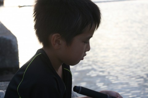 sne5acy37ndhmtaek8oa_480_480-440f9e85.jpg