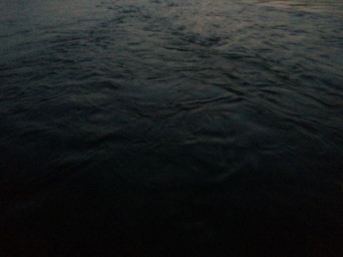 sne9j759zds6erzzu6yx_480_480-8684b4c3.jpg