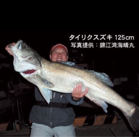 sntd3yhjsf7o6s8x66dk_920_907-c7737d6f.jpg