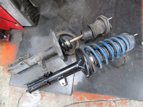snutdgk6dj8p3igjtkmk_480_480-e0cbb3ab.jpg