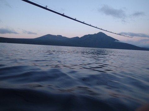 snymiyr639ip6sp742xc_480_480-d9815238.jpg