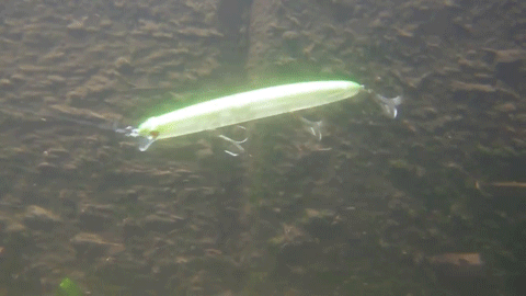 snymuc5c8v73hvgrmaxt-2df26b35.gif