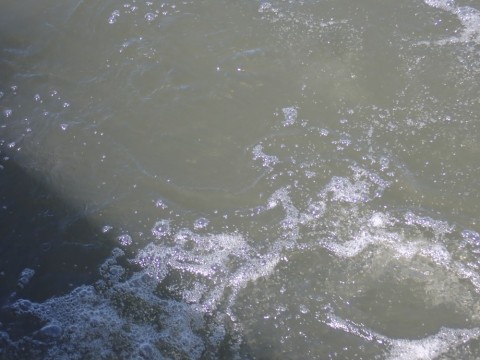 so2sudw69nma2ebeidyo_480_480-5ea5f984.jpg
