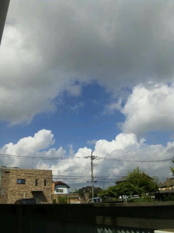 so3rf4woexusazh54v65_480_640-d748b56a.jpg