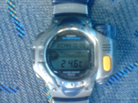 so4prd2jwysvn7dbv522_480_480-8b974840.jpg