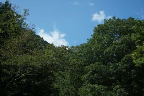 sofp943vyb3x9aejfhtc_480_480-1de28d53.jpg