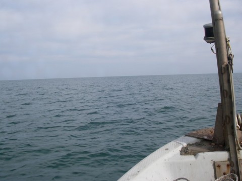 sp4no8wtd7wxuiub9yti_480_480-2ca46950.jpg