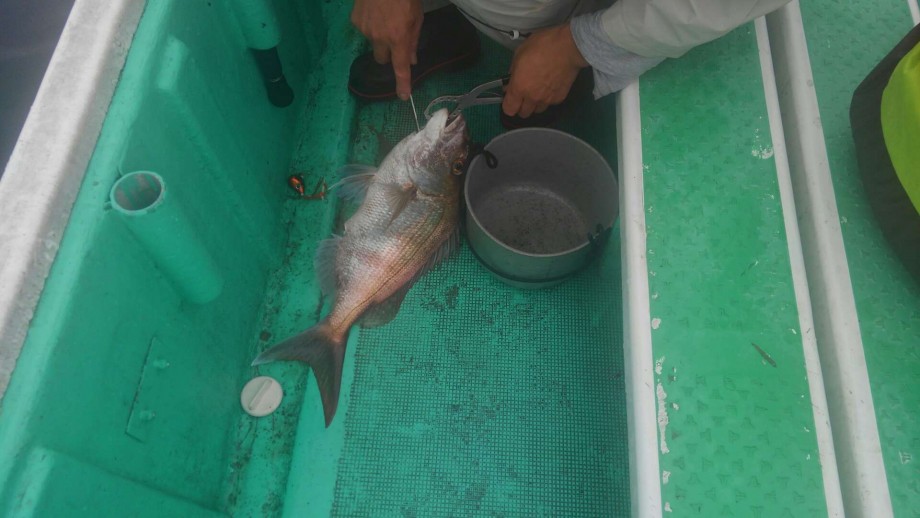 Lunatic Fishing 岩井ボート 初アマダイ