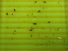 sp8dvbhdvv4mjyaibzd2-1830f5ec.jpg