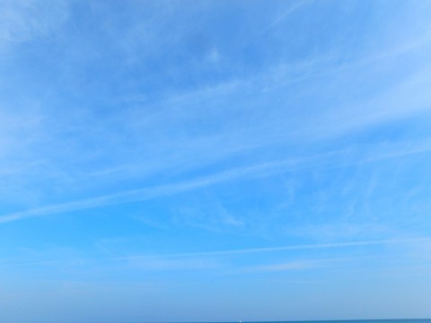 spbach7fvvgwwdghyj5c_480_480-823b94aa.jpg