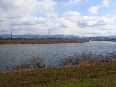 spcnby588y84tsb5v7kd_480_480-b5f10839.jpg